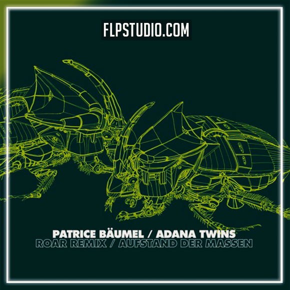 Patrice Bäumel - Roar (Adana Twins Remix) FL Studio Remake (Melodic House)