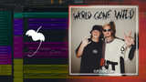 Robin Schulz, CYRIL feat. Sam Martin - World Gone Wild FL Studio Remake (Dance Pop)