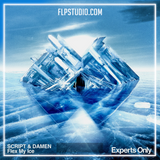 SCRIPT, DAMEN - Flex My Ice FL Studio Remake (Melodic House)