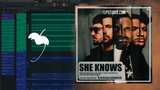 Dimitri Vegas & Like Mike, David Guetta, Afro Bros - She Knows [with Akon] FL Studio Remake (Dance)