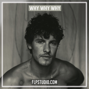 Shawn Mendes - Why Why Why FL Studio Remake (Pop)