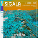 Sigala, Trevor Daniel, 24kGoldn - It's A Feeling FL Studio Remake (Dance Pop)