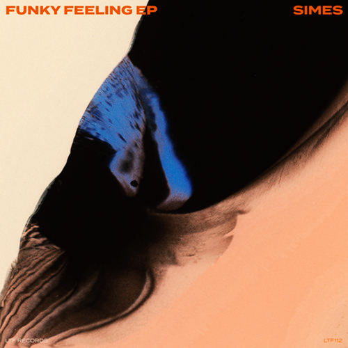 Simes - Funky Feeling FL Studio Remake (Tech House)