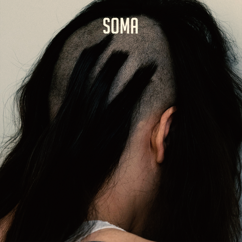 Skrillex, Nitepunk - Soma FL Studio Remake (Dubstep)
