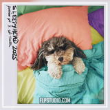 Sofi Tukker & Passion Pit - Sleepyhead 2025 FL Studio Remake (Dance Pop)