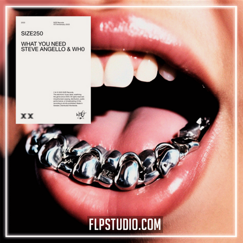 Steve Angello, WhO - What You Need FL Studio Remake (House)