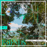 Subtronics - Friends (feat. Linney) FL Studio Remake (Dubstep)