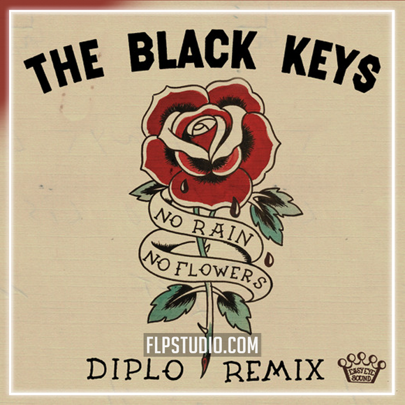 The Black Keys - No Rain, No Flowers (Diplo Remix) FL Studio Remake (Dance)