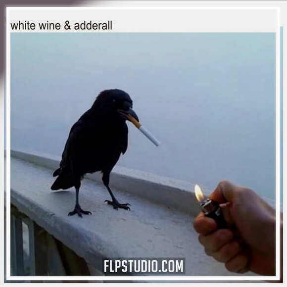 The Chainsmokers, Beau Nox - White Wine & Adderall FL Studio Remake (Dance Pop)