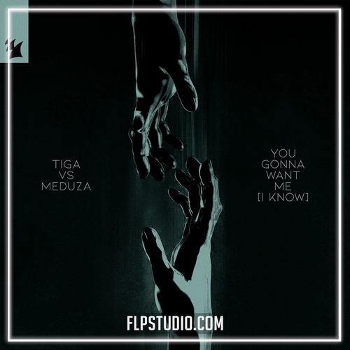 Tiga vs. MEDUZA - You Gonna Want Me (I Know) (FL Studio Remake)