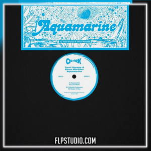 Trent Voyage & Elena Moroder - Aquamarine FL Studio Remake (House)