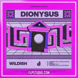 Wildish, Sienna Sophia - Control FL Studio Remake (Deep House)