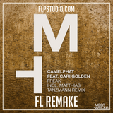Camelphat ft Cari Golden - Freak Fl Studio Remake (Tech House Template)