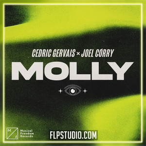Cedric Gervais x Joel Corry - MOLLY FL Studio Remake (Dance)