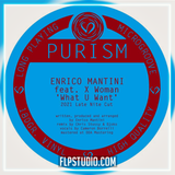 Enrico Mantini feat. X Woman - What U Want (Chris Stussy & Djoko Remix) FL Studio Remake (House)