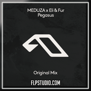 MEDUZA x Eli & Fur - Pegasus FL Studio Remake (Techno)