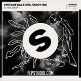 Vintage Culture, Fancy Inc - In the Dark FL Studio Remake (Dance)